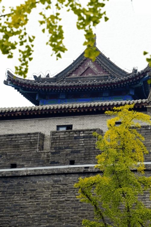 含淚總結西安旅遊踩的那些坑之西安城牆! 含淚總結西安旅遊踩的那些坑之西安城牆!