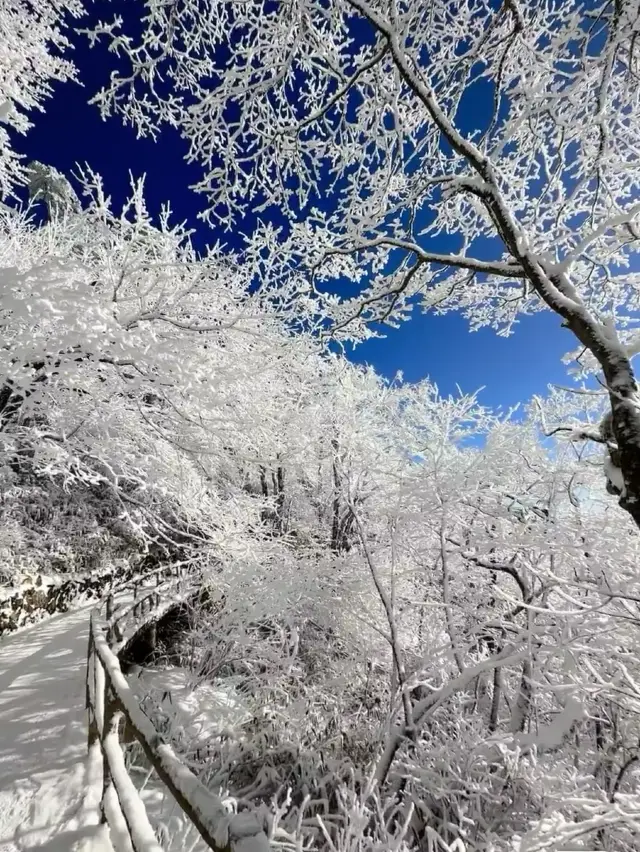 天上の仙人にならず、黄山の客になりたい