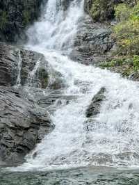 小眾旅遊地百山祖