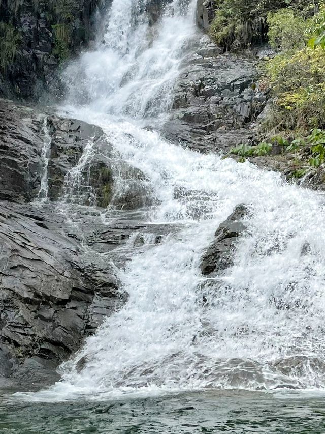 小眾旅遊地百山祖