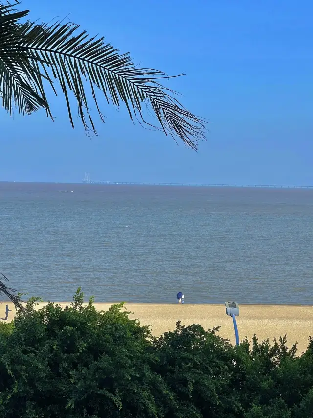 주해 일일 투어!! 듣는 말이 좋다!!