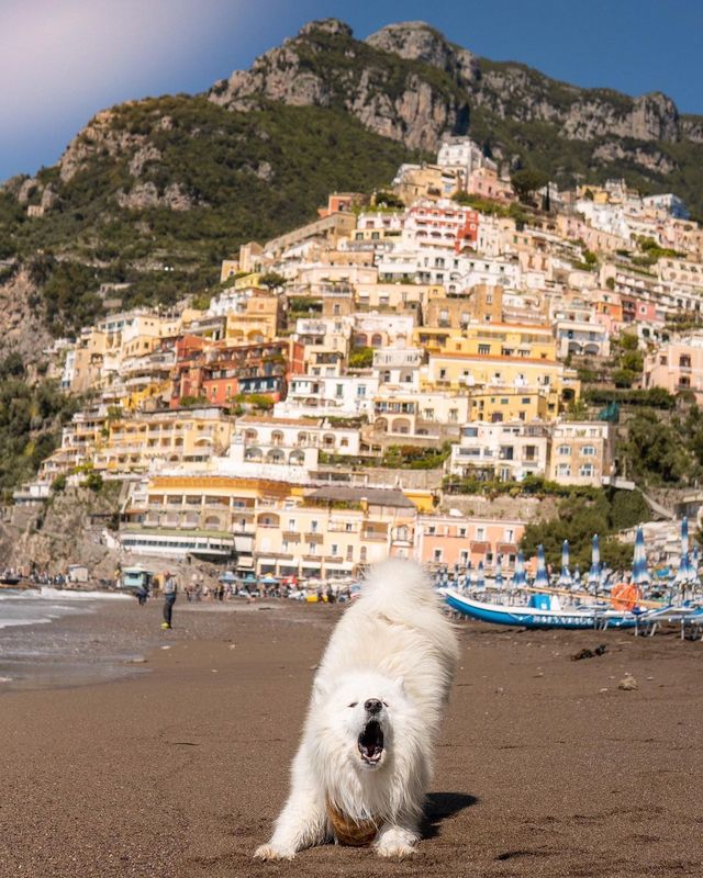 Summer Vibes from the Amalfi Coast in Italy: A Journey Through the Jewel of the Mediterranean!