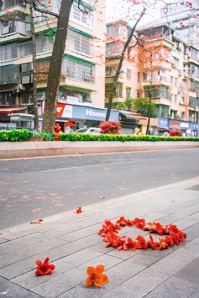 廣州拍照·離開廣州前一定要去一次陵園西路！