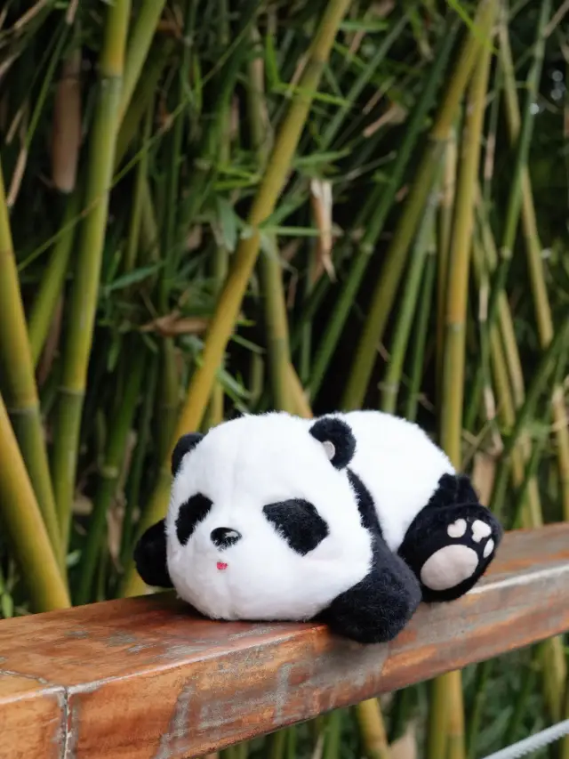 Panda Treasure Hunt: A few things you must know about the parent-child trip to the Giant Panda Base