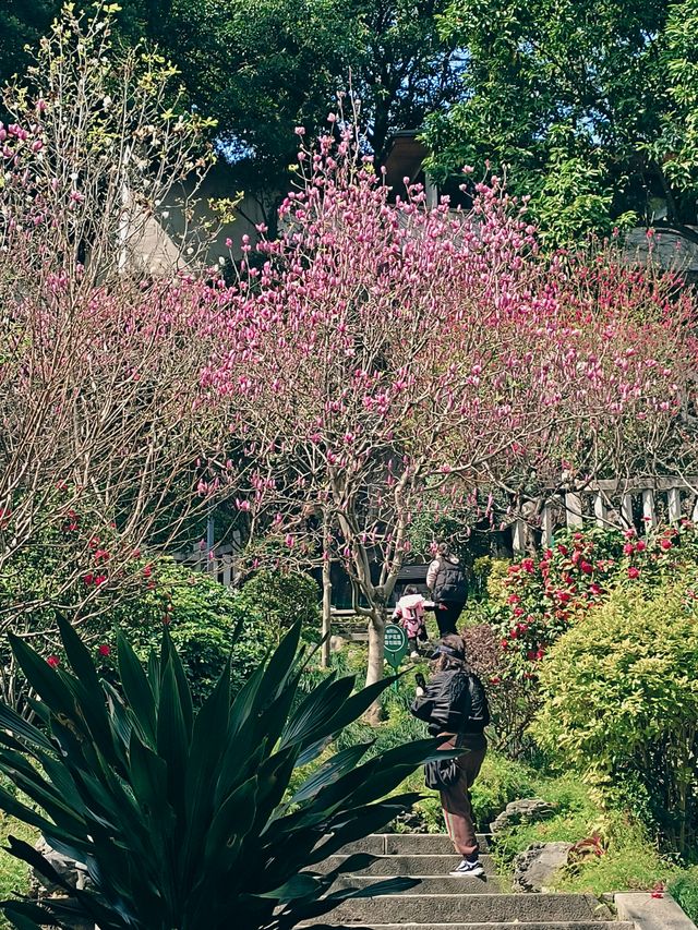 烏山風景區，賞花好去處