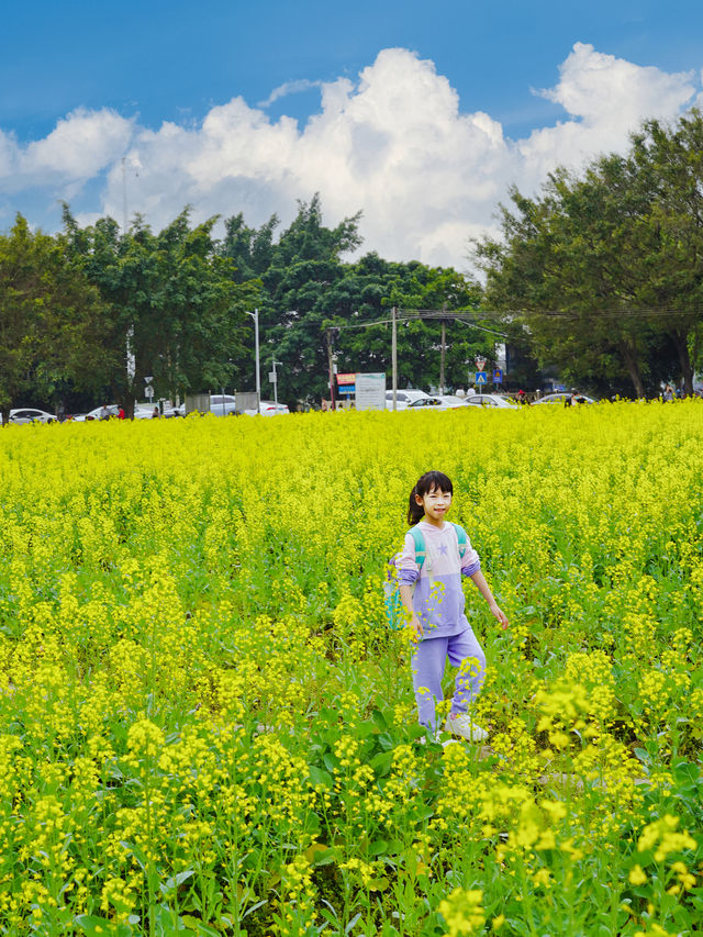 春日騎行露營賞花 | 廣州不花錢可以呆一天的地方