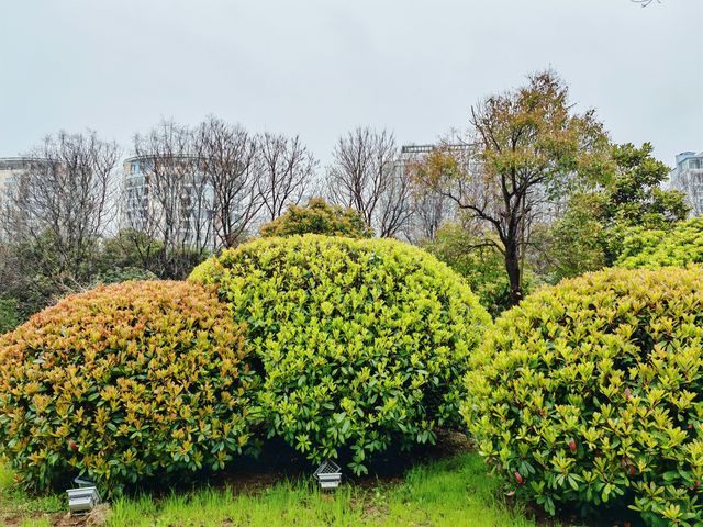 徐州滨湖公園