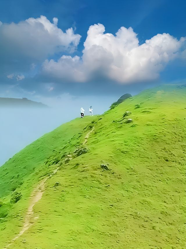 狠狠美哭了！！就藏在廣東的大草原！