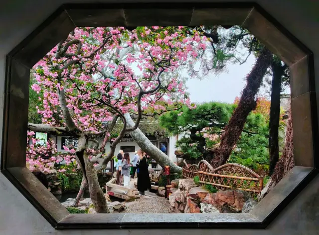 ในสวน Wangshi ของฤดูใบไม้ผลิ