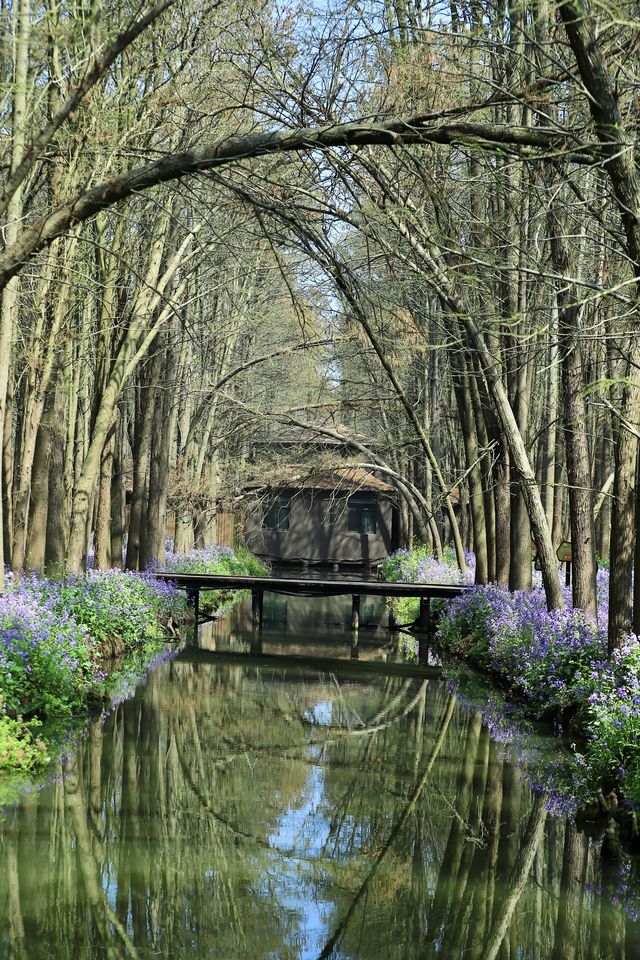 水上森林公園