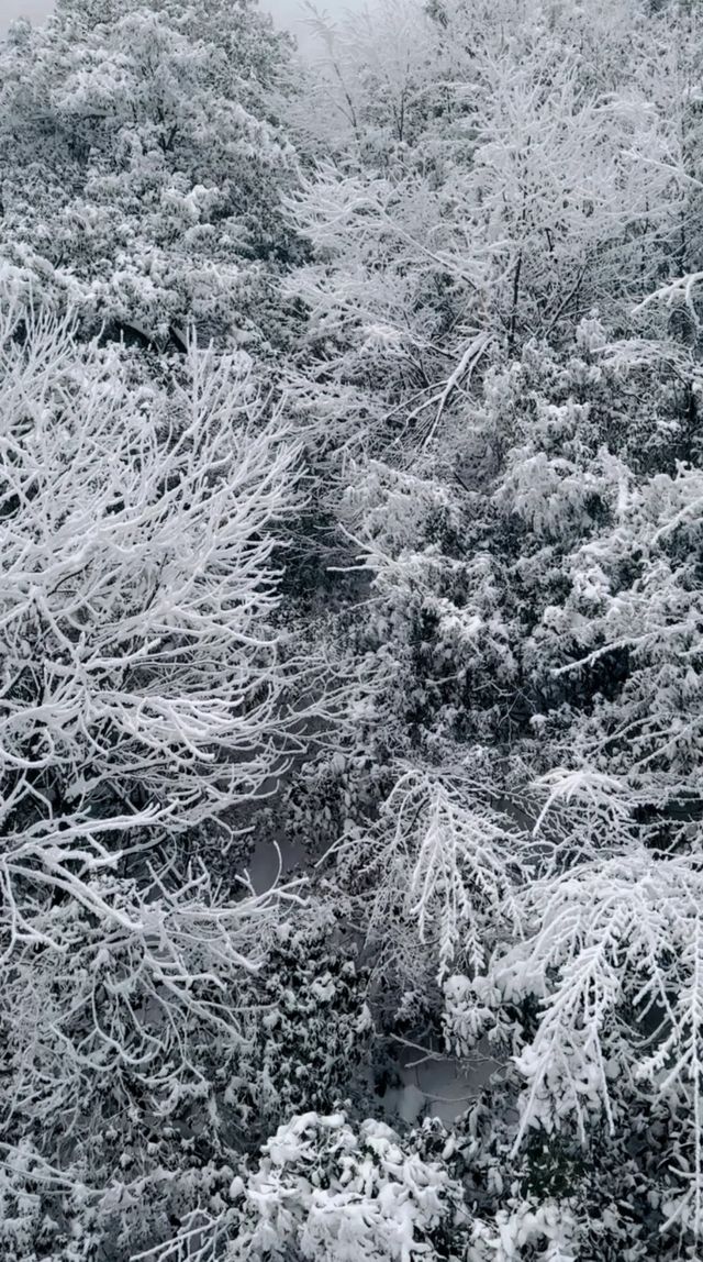 還上什麼班，直接去看武功山的雪景啊