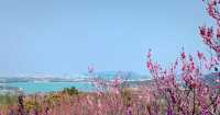 十里梅花香雪海🌸快來蘇州香雪海解鎖滿園「梅」好時光！！