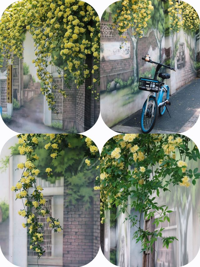 南京| 在民國風塗鴉牆，與木香花來一場浪漫邂逅！