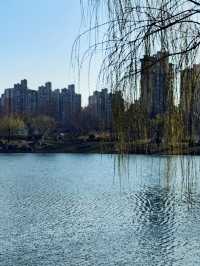 春日來賞花梅陇地區新開免費公園