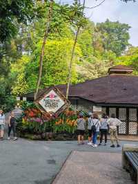 新加坡植物園