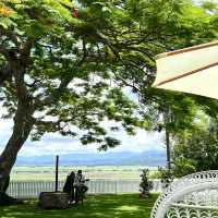 Tropical fruits you have never seen 