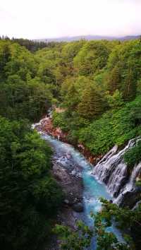 富良野的薰衣草田，賞花田美景，泡露天溫泉，品日本料理