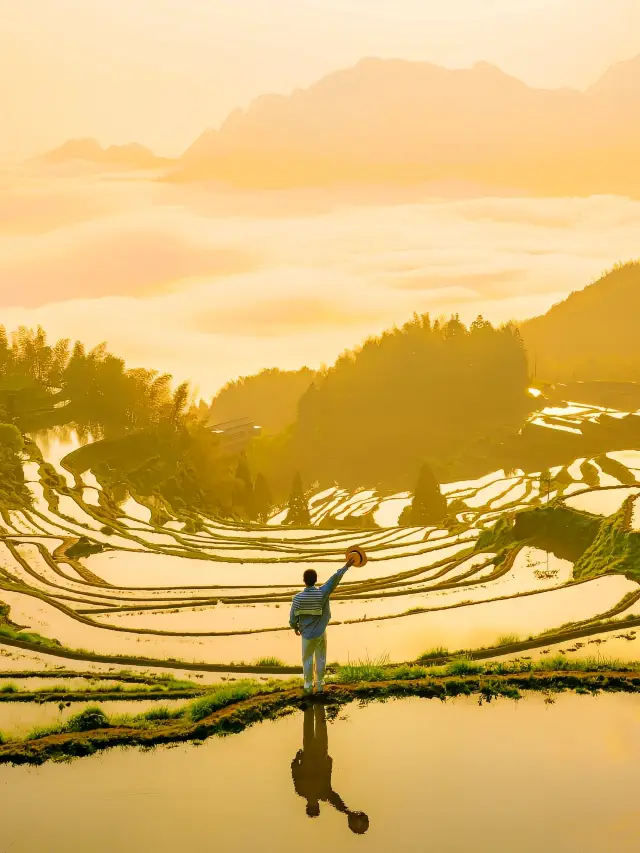 Not in Guizhou! In Zhejiang! The sunrise over the sea of clouds and terraced fields is so beautiful it's legendary