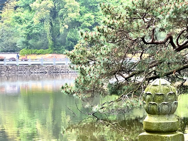 佛教禪宗名剎 阿育王寺 寧波