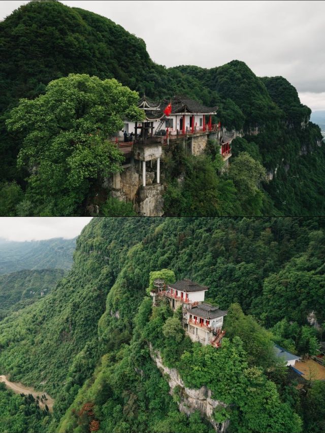奔赴一場春的約會|漢水謠