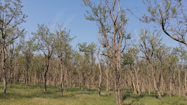 原生態的漁村小島——龍口桑島