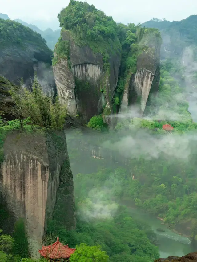 I was amazed by the Wuyi Mountains in summer!!