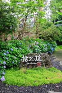 在峨眉山腳下的一場和時空的穿越之旅