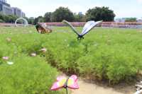 花海公園，攝影愛好者的福地