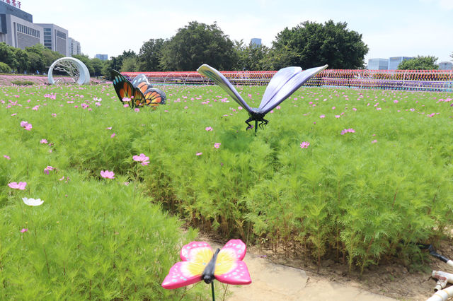 花海公園，攝影愛好者的福地