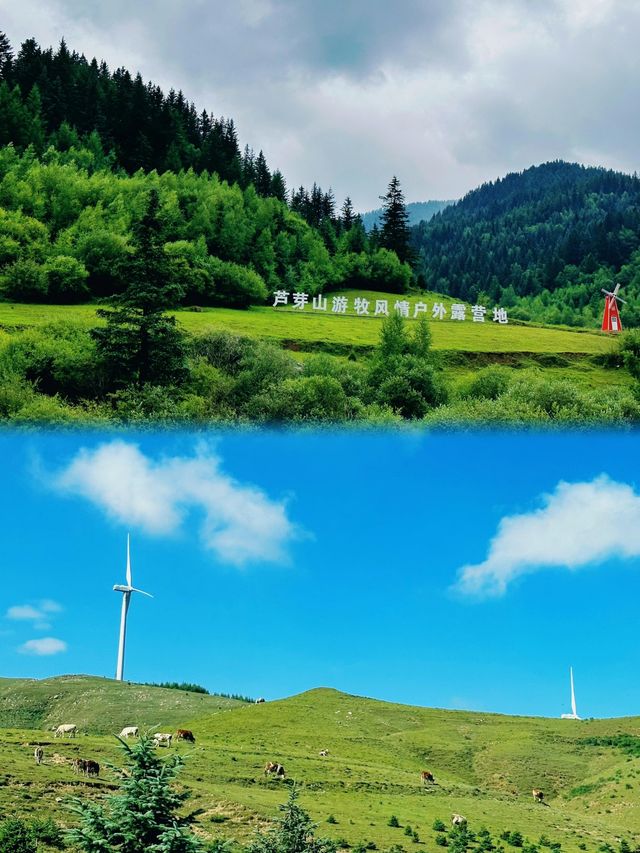 忻州芦芽山攻略：山西的綠色秘境