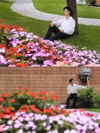 花開無盡夏浪漫繡球花海