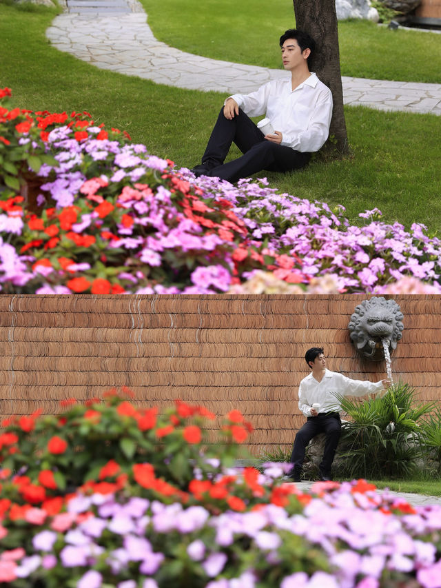 花開無盡夏浪漫繡球花海