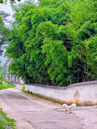 皖南川藏線~儲家灘晨景