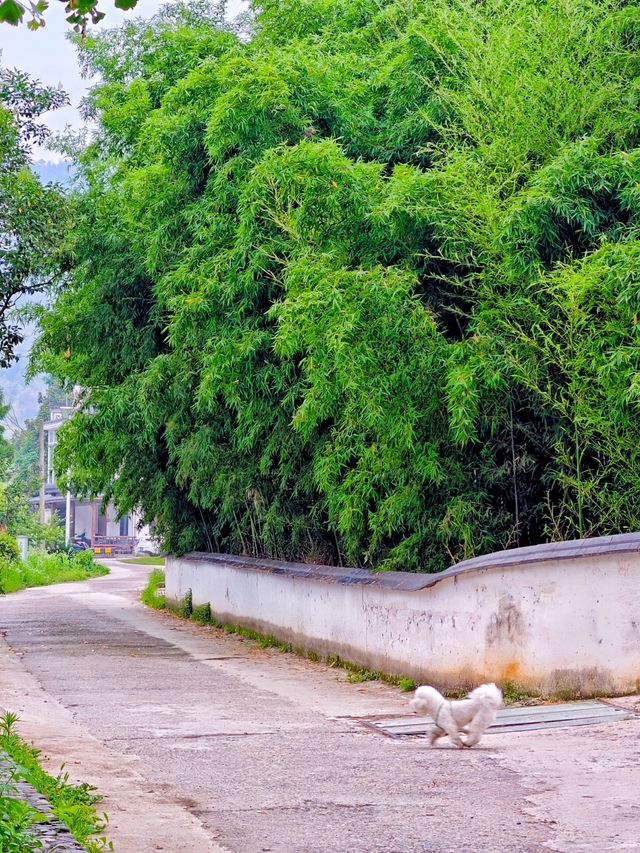 皖南川藏線~儲家灘晨景