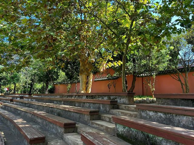 楚雄龍江公園，被睡蓮環繞的休閒好去處