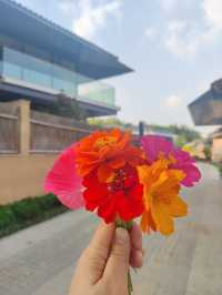 枕水涧度假村
