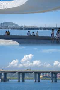 想安利給全深圳人這裡夏日拍照真的好美啊！