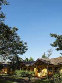 🌟🏞️ Arusha's Hidden Gem: Rivertrees Country Inn 🛏️✨