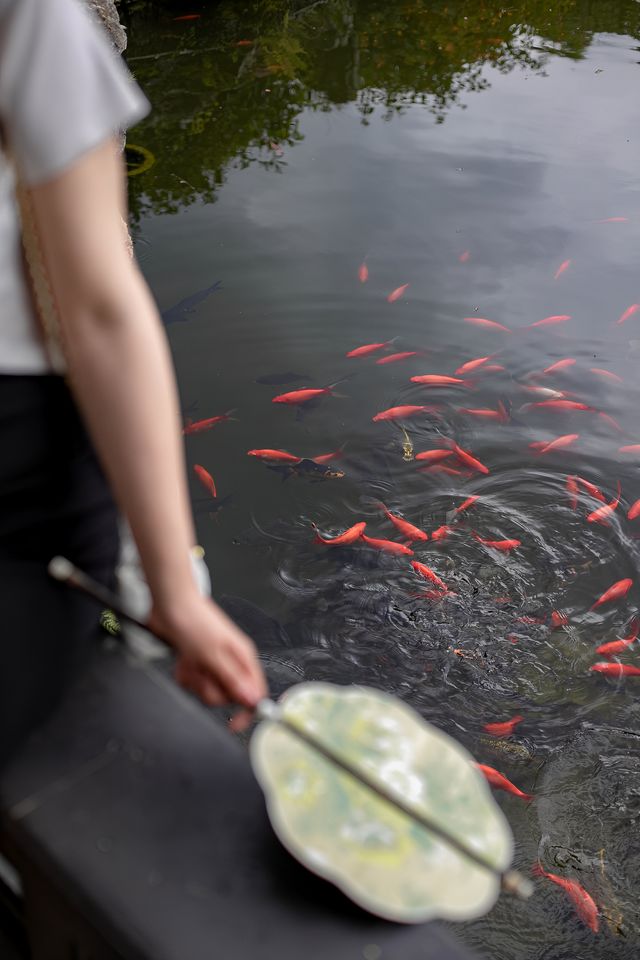 昆明這個免費園林太好拍了