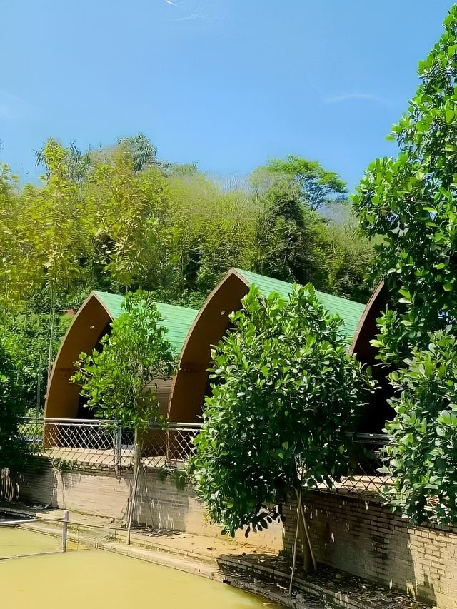 廈門周邊避暑親子遊！山中小木屋+研學玩水
