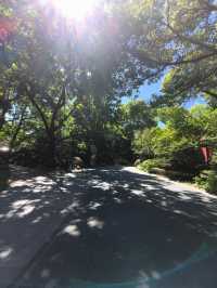 城市公園圖鑑：上海人民公園