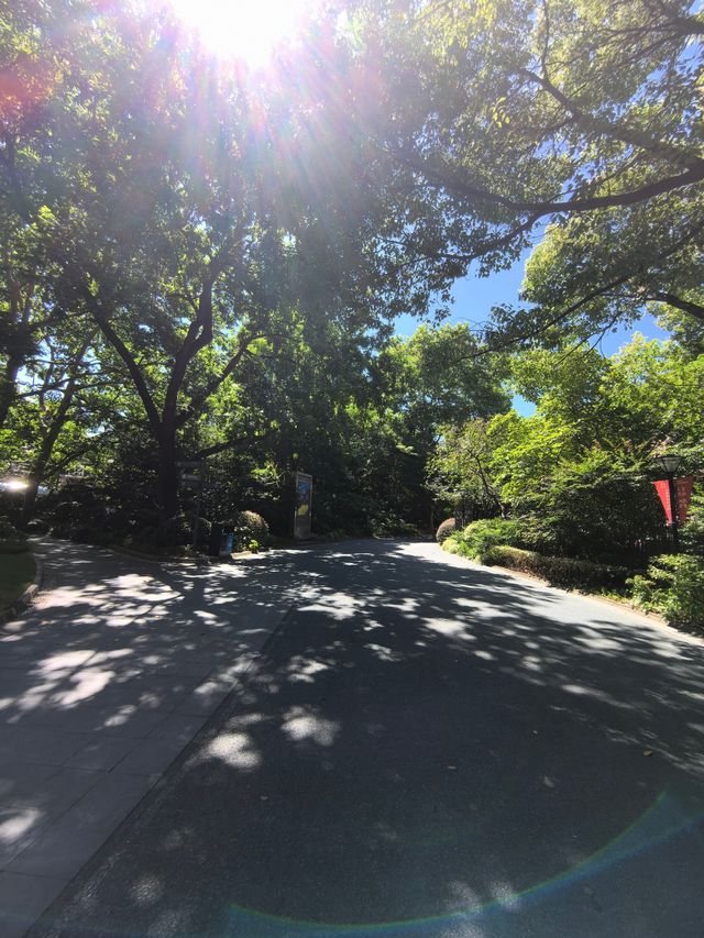 城市公園圖鑑：上海人民公園