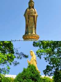 來普陀山玩吧，看看佛山水