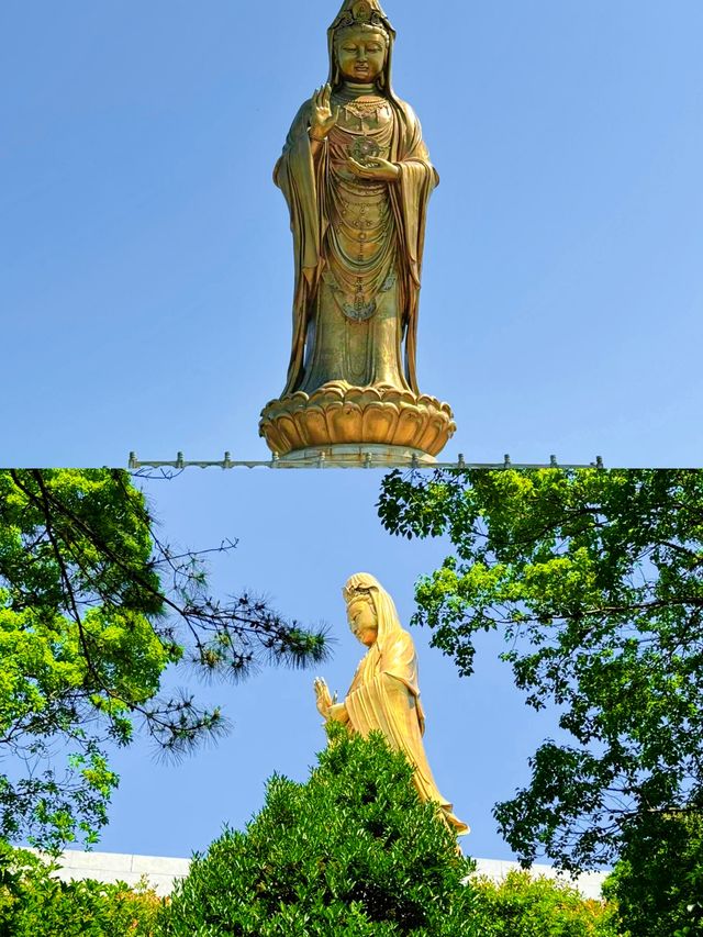 來普陀山玩吧，看看佛山水