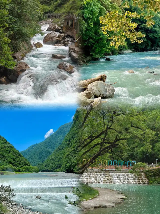 녹색 산소 바 - 깊은 숨을 쉬며 자연의 신선함을 느껴보세요