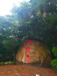 又見珠海，雨中城區一日…