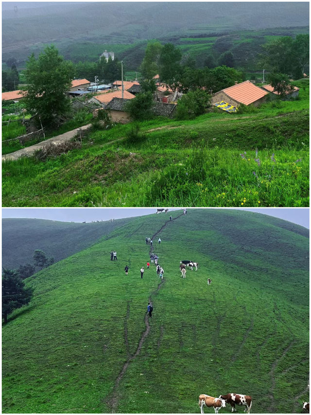 蔚縣之旅，你不知道的好玩之處