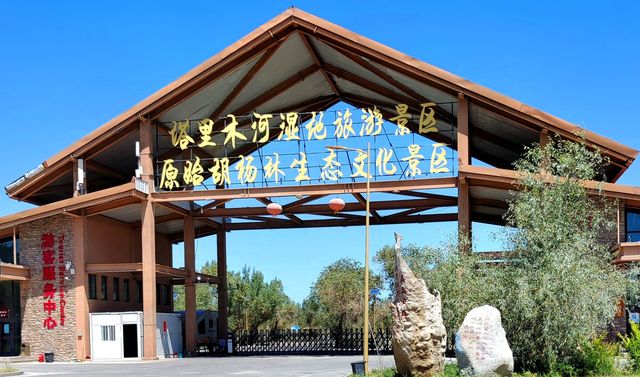 自駕139胡楊公路，深度感受南疆秘境