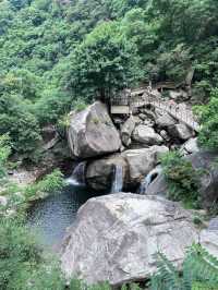 洛陽白雲山森林氧吧：一場心靈的洗禮