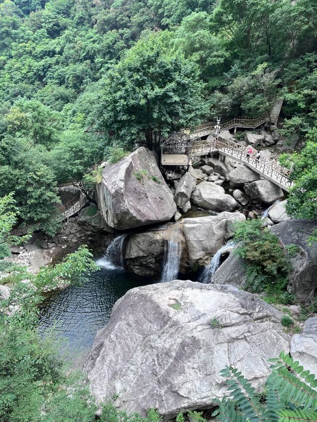 洛陽白雲山森林氧吧：一場心靈的洗禮